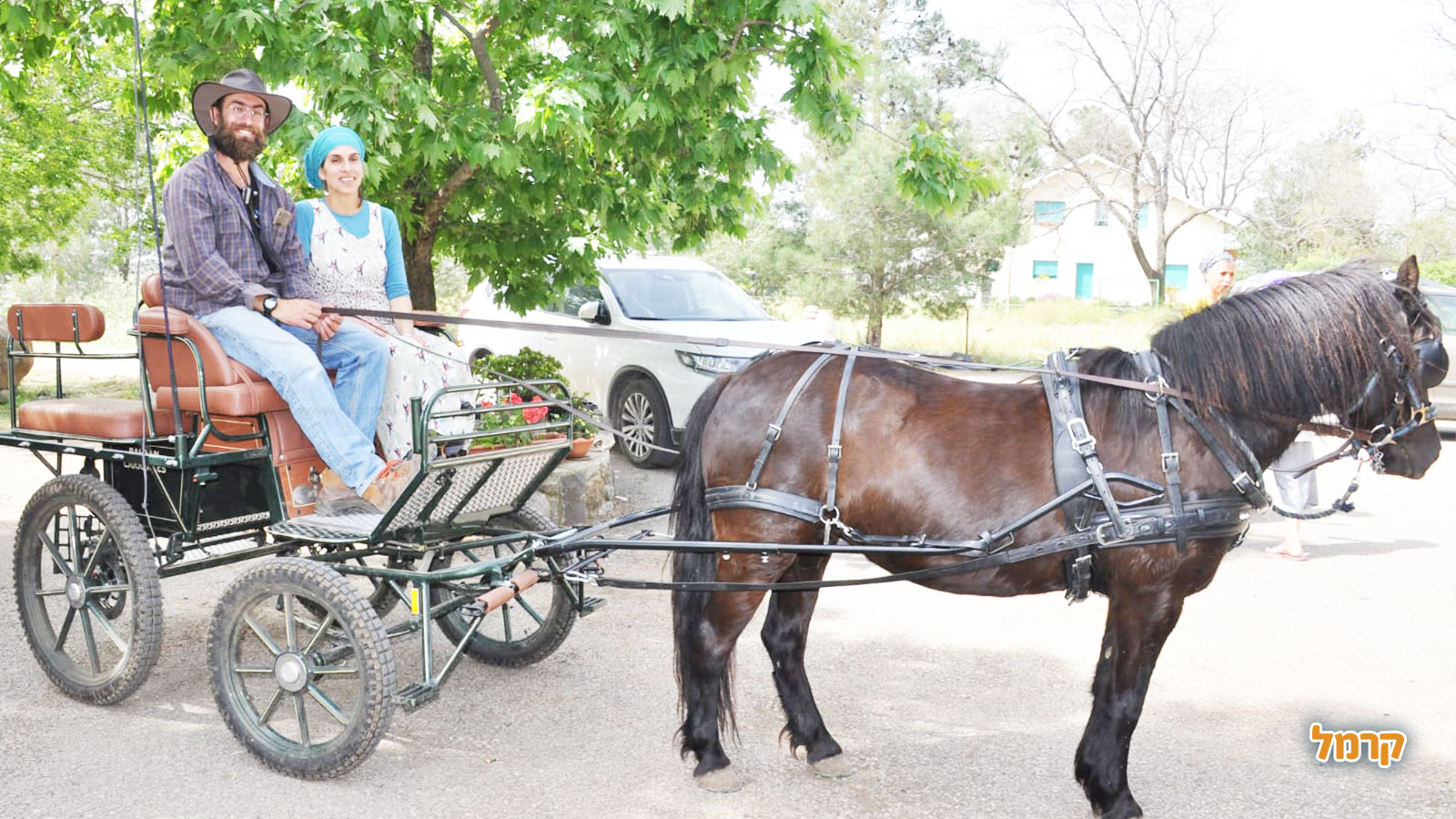 מרכבות הבשן - 073-7603146