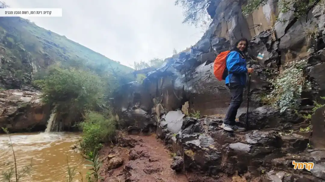 מטיילת נהנת ממסלול נחל תבור בחורף