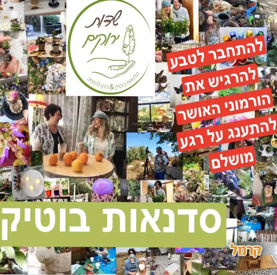 שדות ירוקים