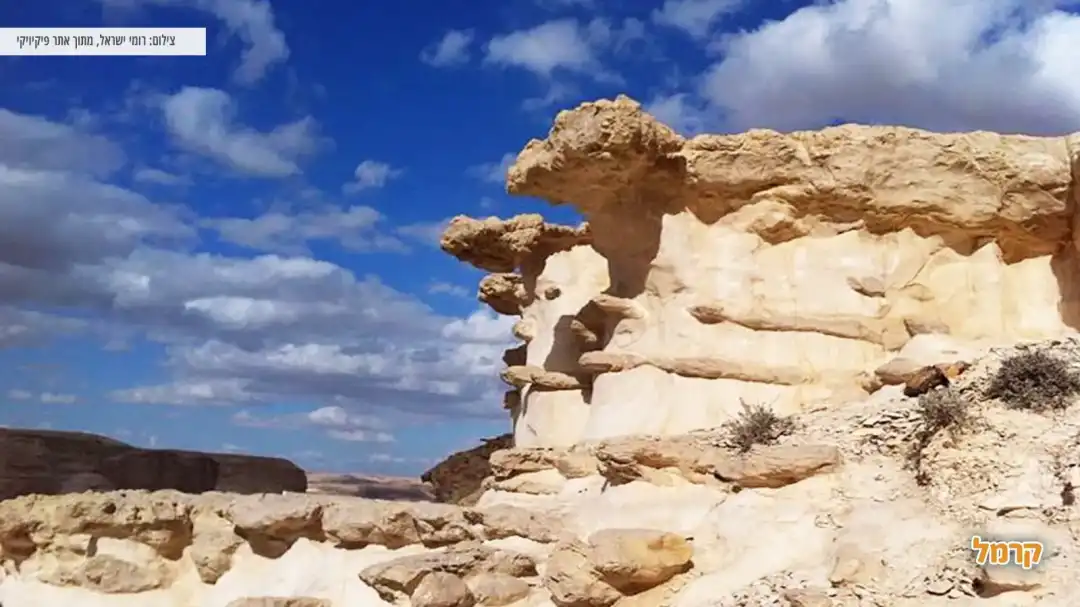 המעיין התחתון בעין עקב
