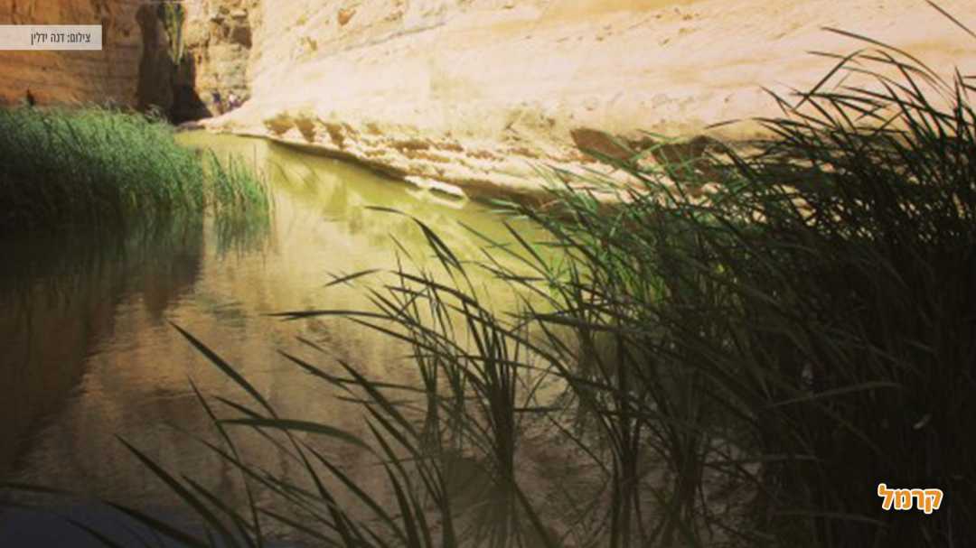 נחל עין עבדת