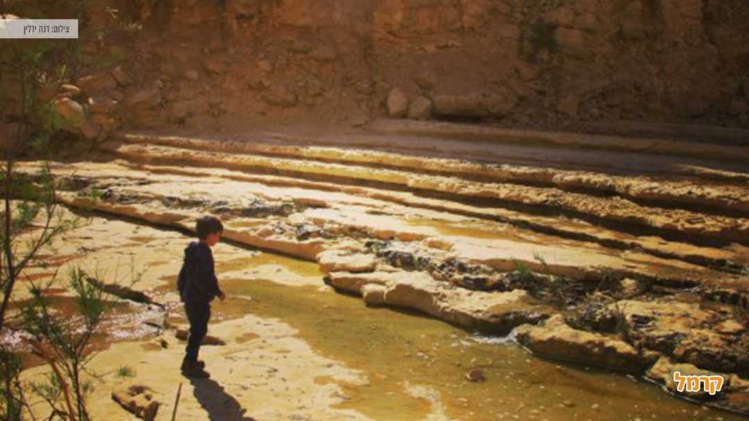 ילד במסלול עין עבדת