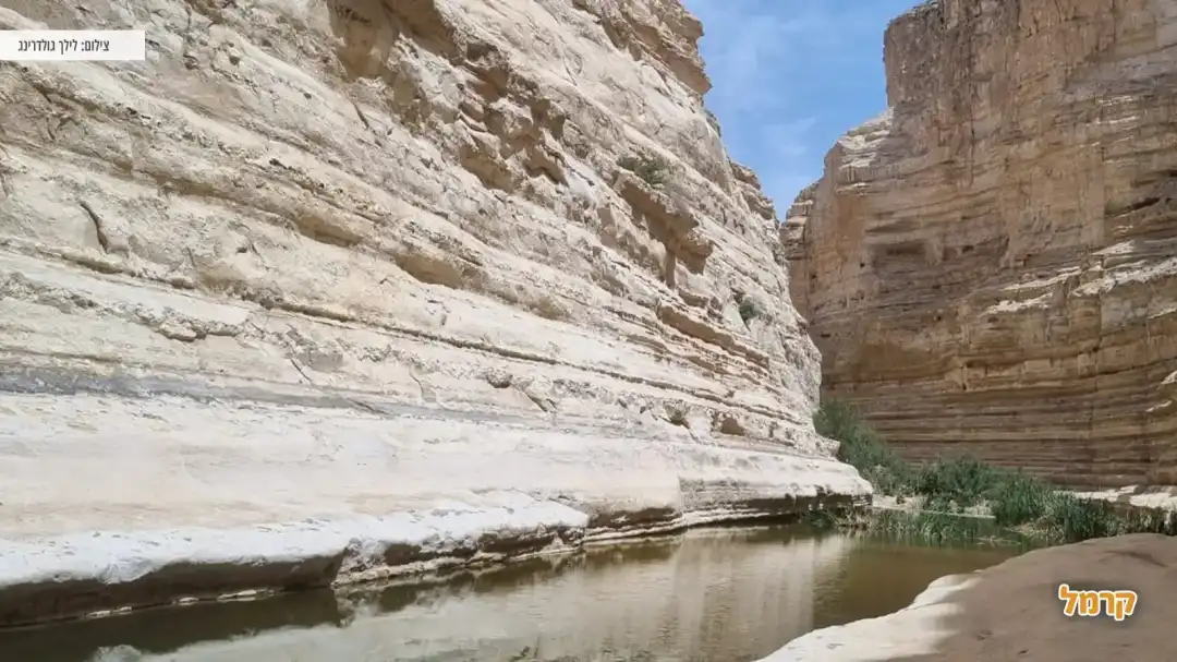 קניון עין עבדת עם נחל