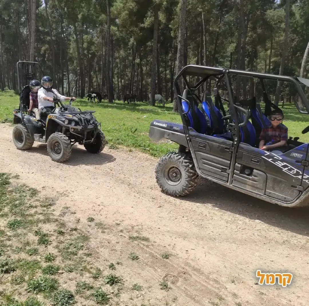 טרקטורוני צפת