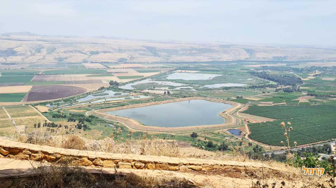טרקטורוני דישון
