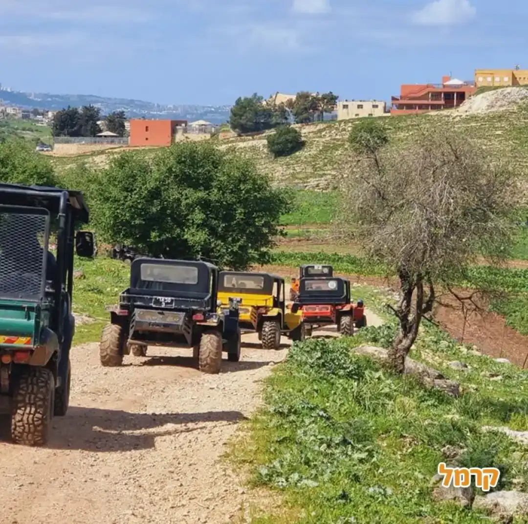 רייזר נחל ציפורי
