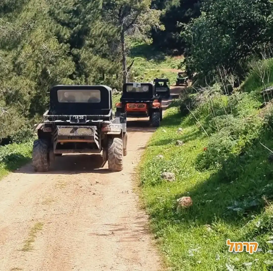 רייזר נחל ציפורי