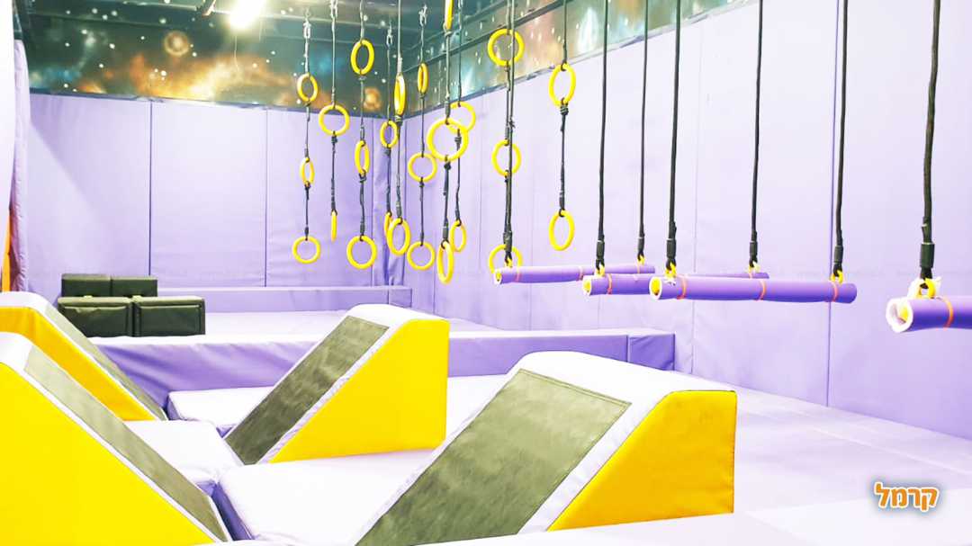 פאנקי נינג'ה