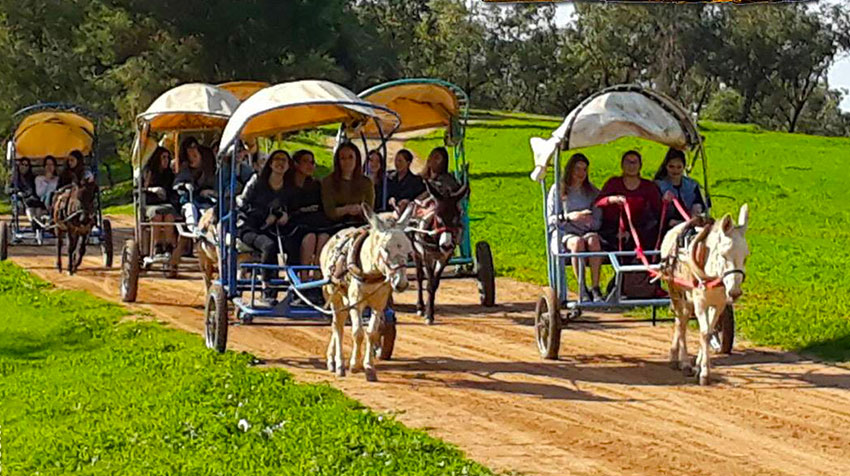 בילוי משפחתי מושלם בחוות פיליפ בילוי משפחתי מושלם בחוות פיליפ