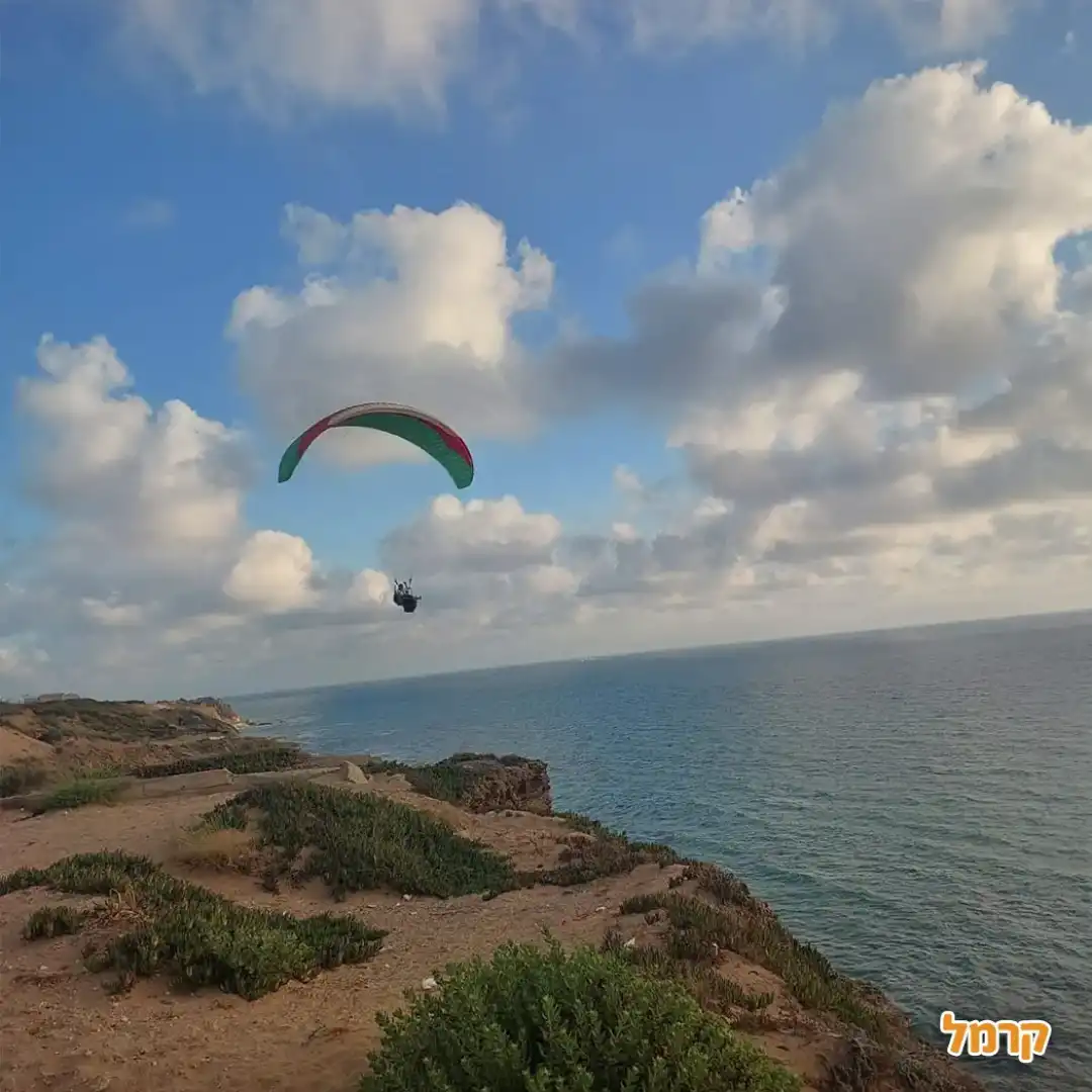 כנפיים מצנחי רחיפה
