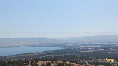 מבט מהירידות אל הכנרת מבט מהירידות אל הכנרת