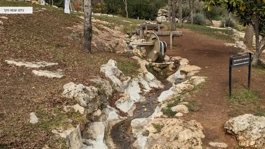 מסלול מרתק בגן הבוטני