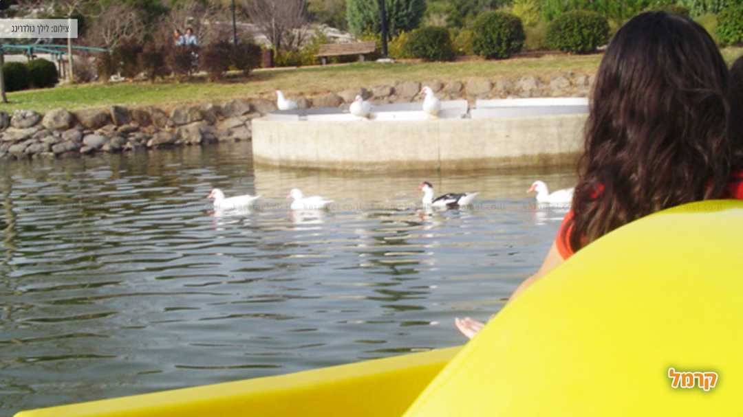 אגם מונפורט