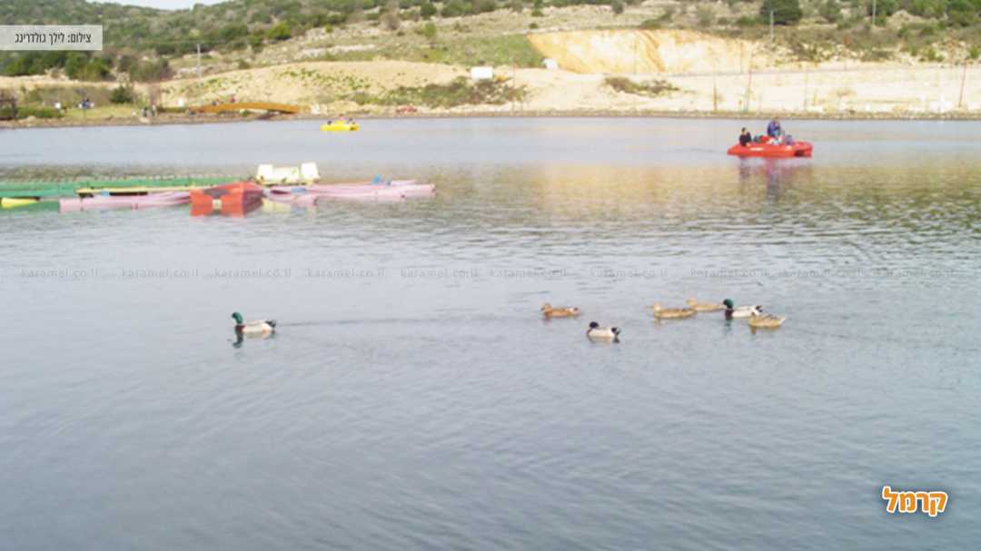 אגם מונפורט