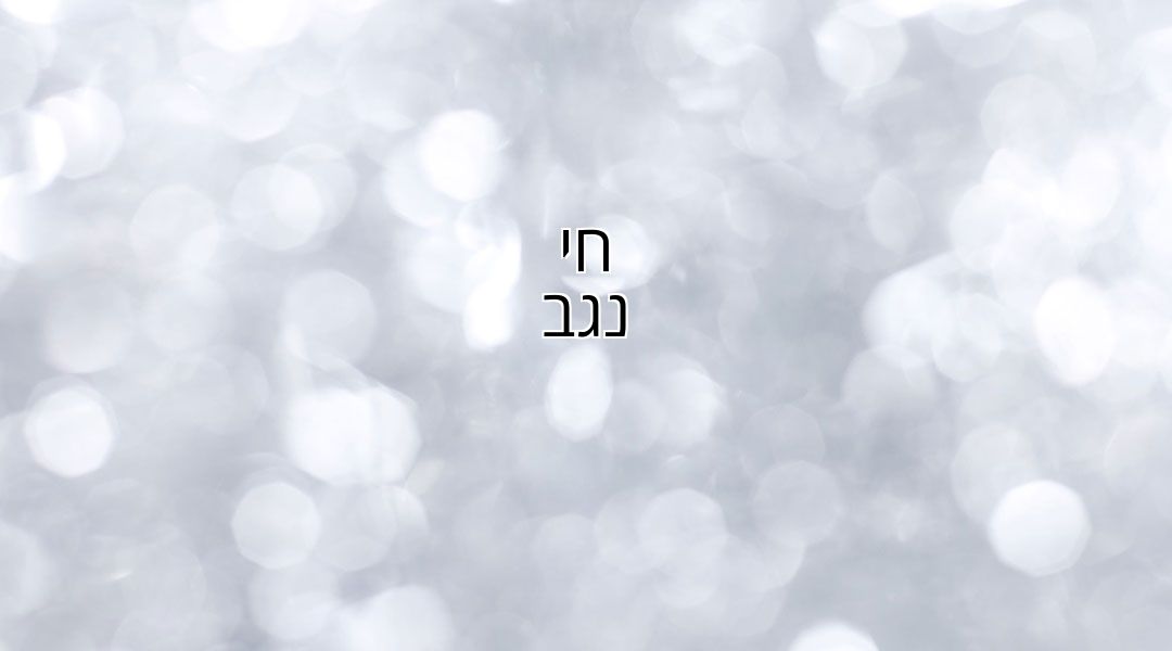 חי נגב חי נגב