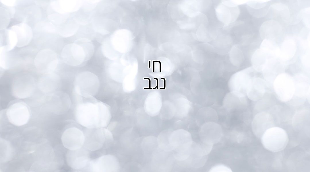 חי נגב