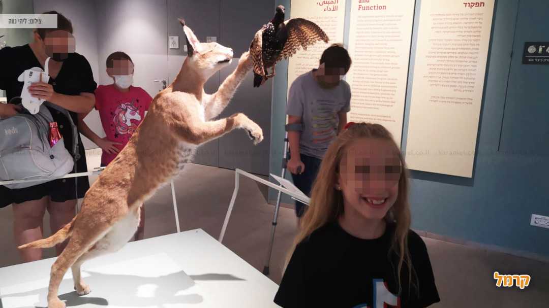 מוזיאון הטבע ע"ש שטיינהרדט