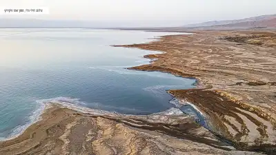 תצפית על החוף וים המלח