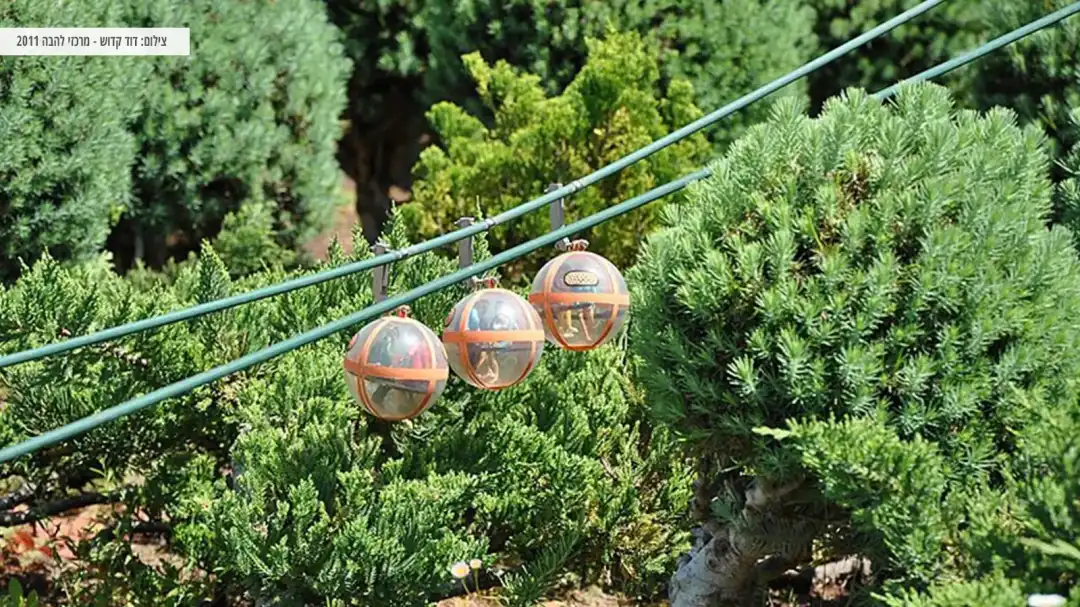 מבט על 3 כדורי רכבל וברקע נוף של עצים