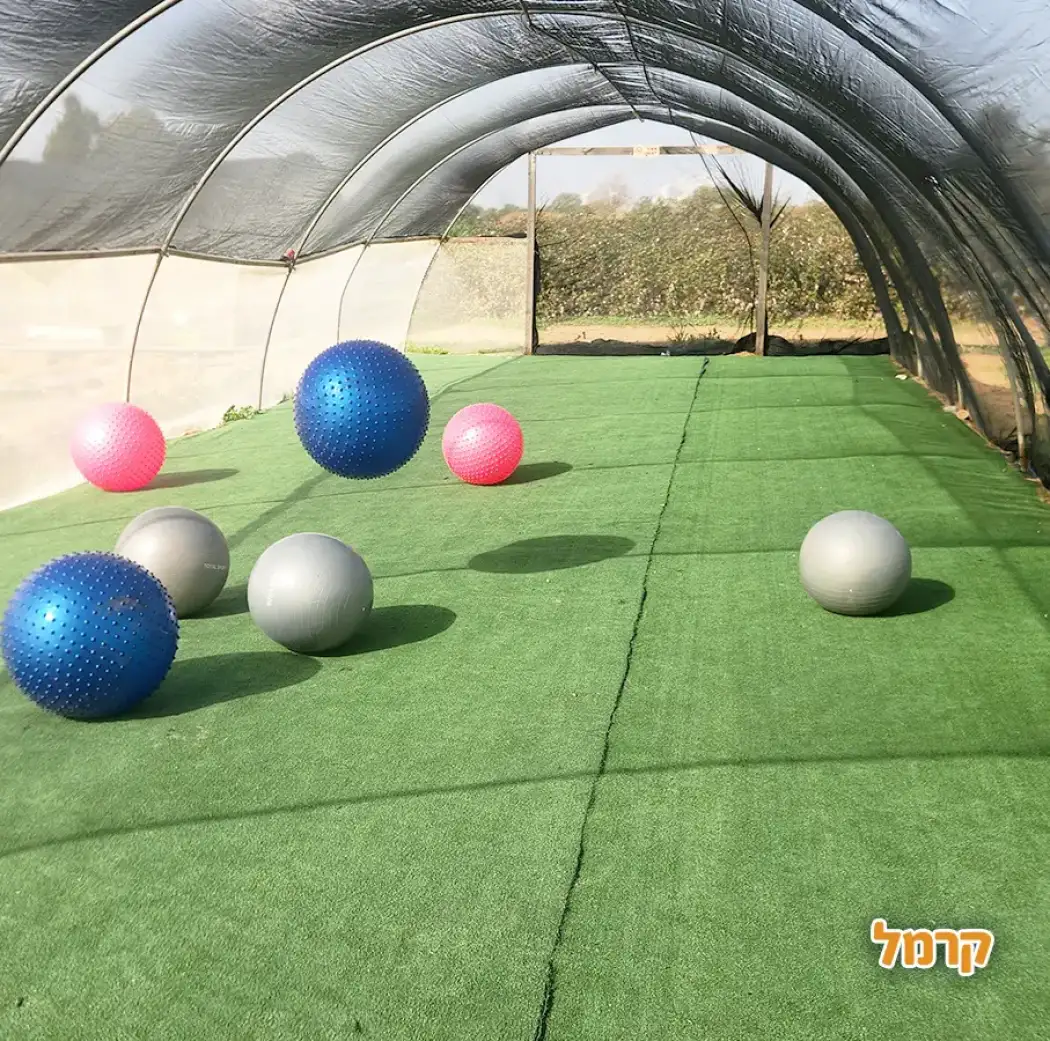 קלחים ומבוכים