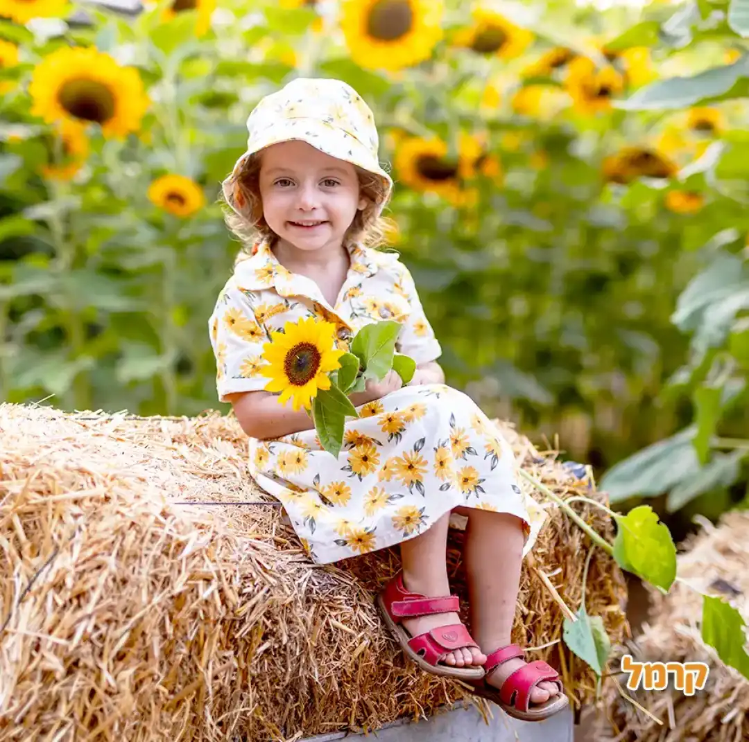 קלחים ומבוכים