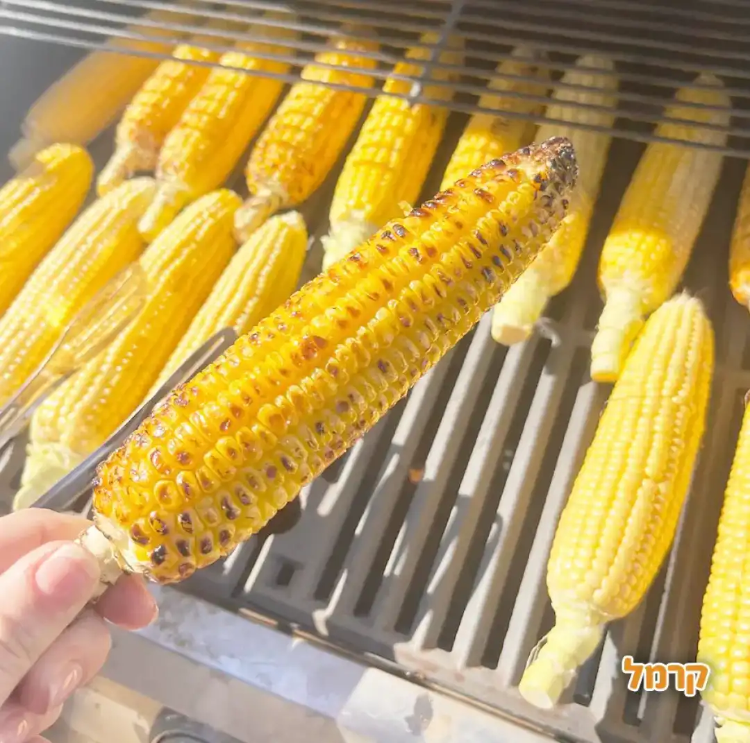 קלחים ומבוכים