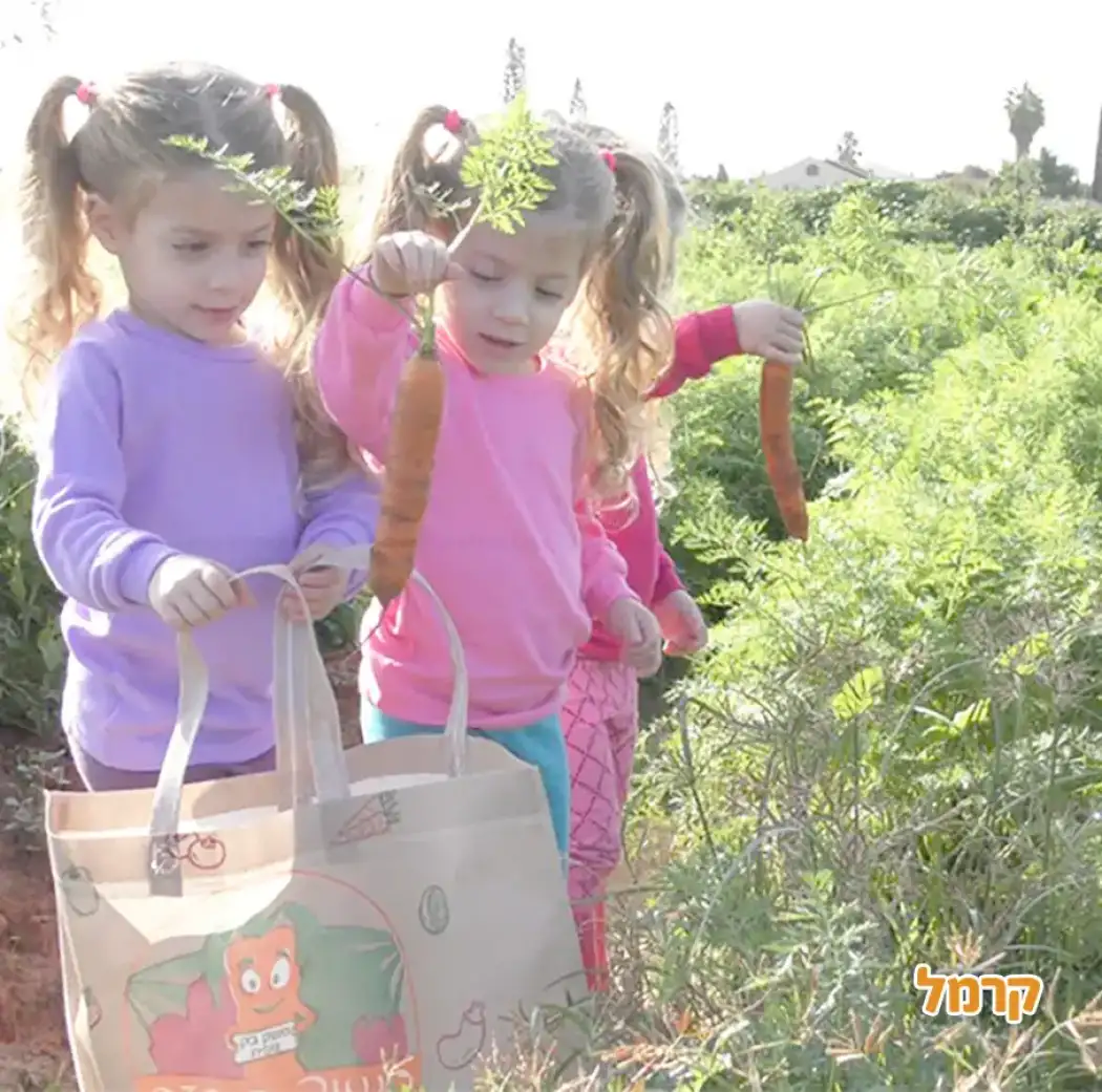 משוך בגזר