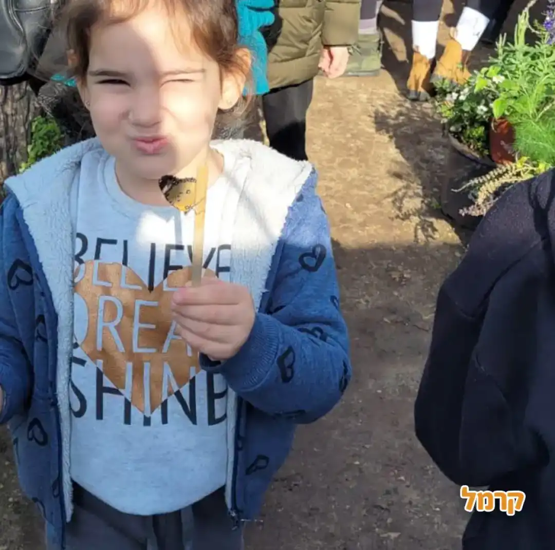 משתלת הפרפרים