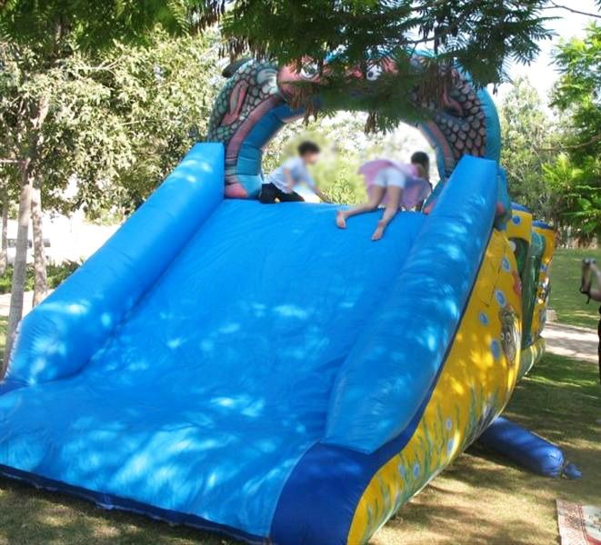 פים פם פום - 04-6666655