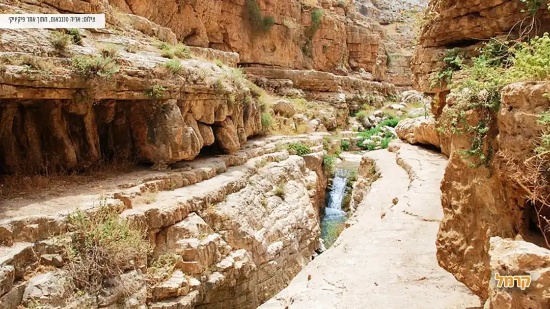 מפל קטן לצד נוף מדברי