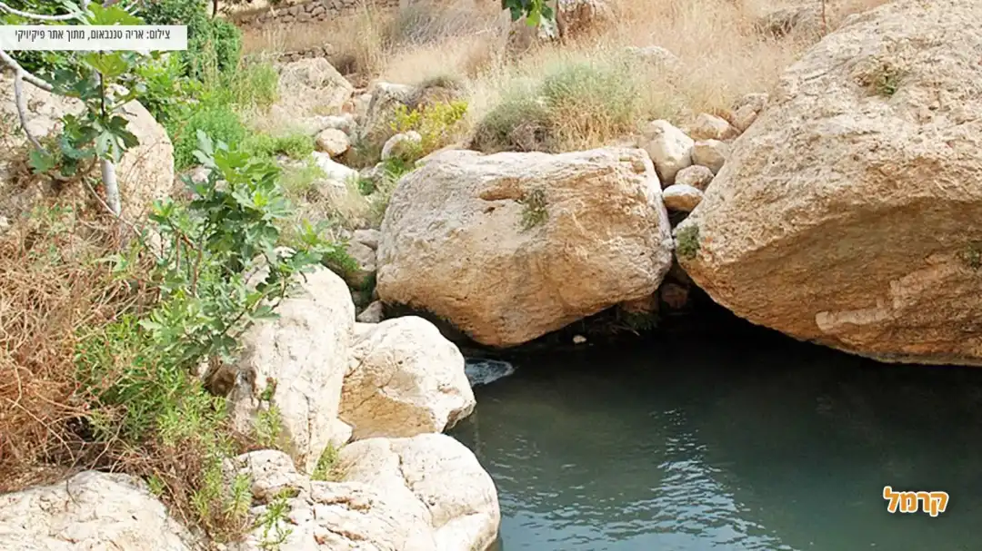 מעיין עין פרת