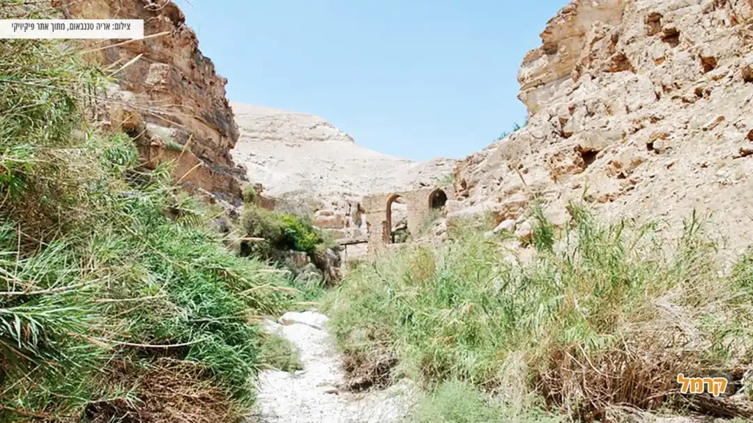 עתיקות במסלול