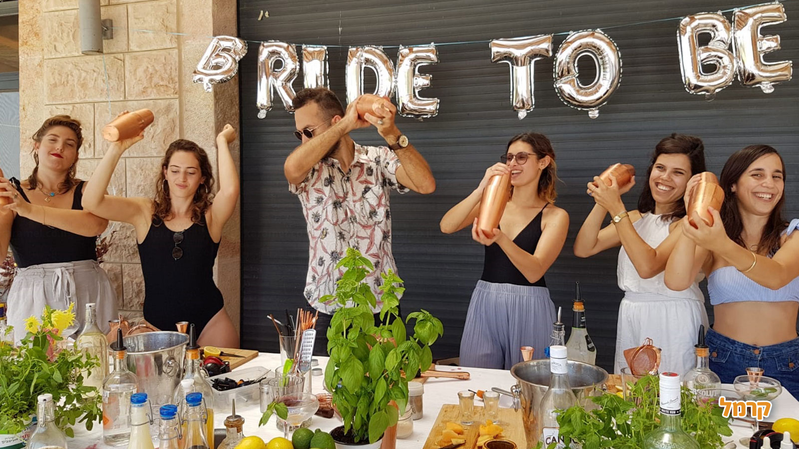 אליאנה בר - מסיבת קוקטייל - 073-7769261
