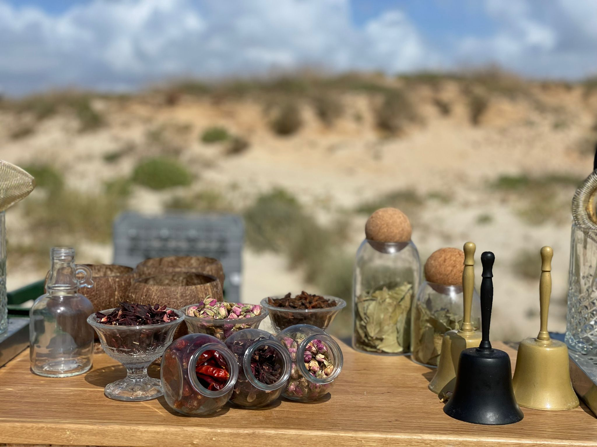 אליאנה בר - מסיבת קוקטייל - 073-7769261