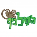 לוגו ג'ונגל כיף - בילוי לכל המשפחה