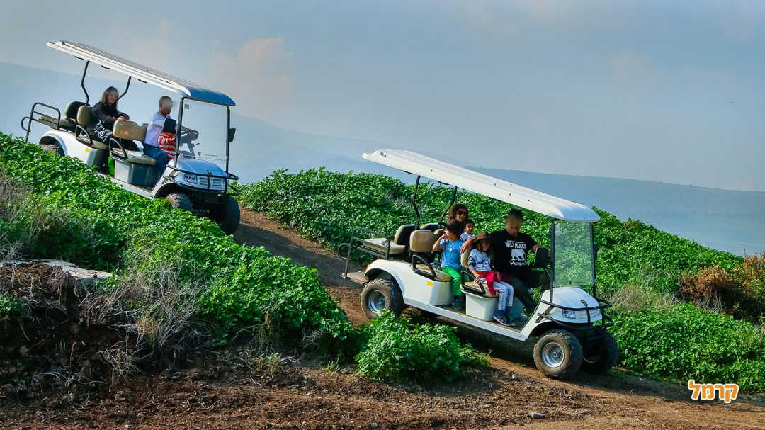 טיולים בשטח