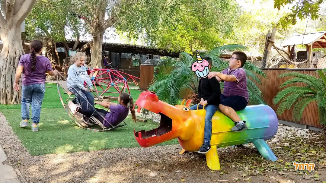 אזורי משחק חופשי