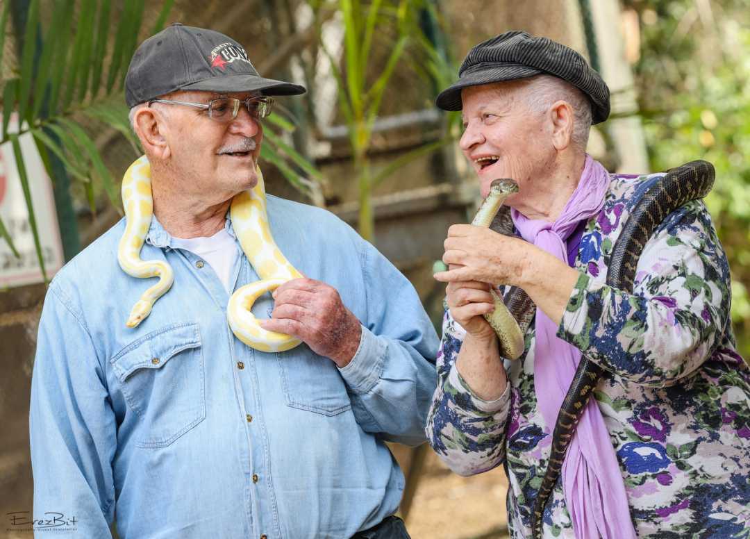 פעילות כיפית בג'ונגל כיף