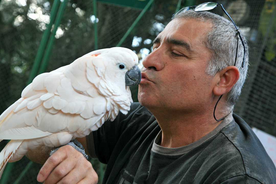 פעילות כיפית בג'ונגל כיף