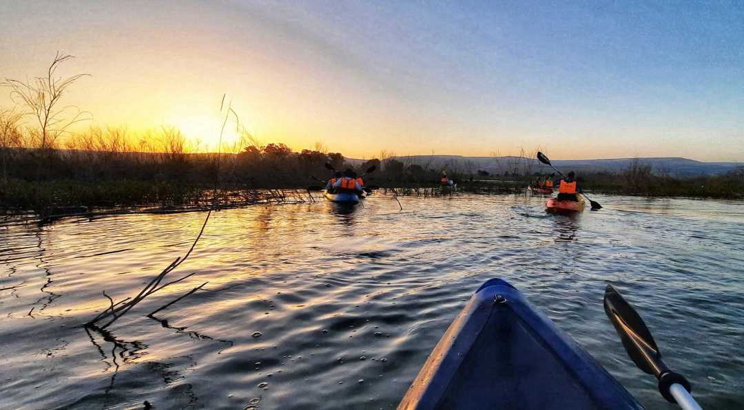 קייאקים בסוואנה