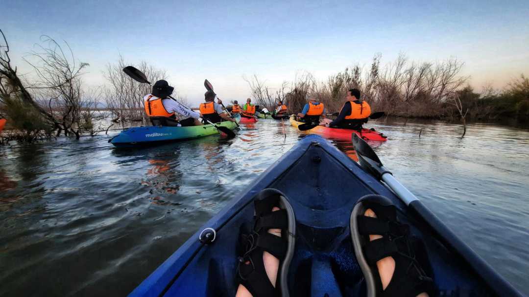 חווית גיבוש בקיאקים בסוואנה
