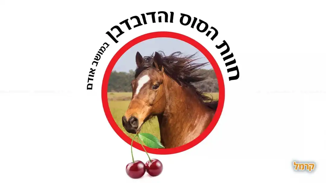 פינת חי בשילוב קטיף
