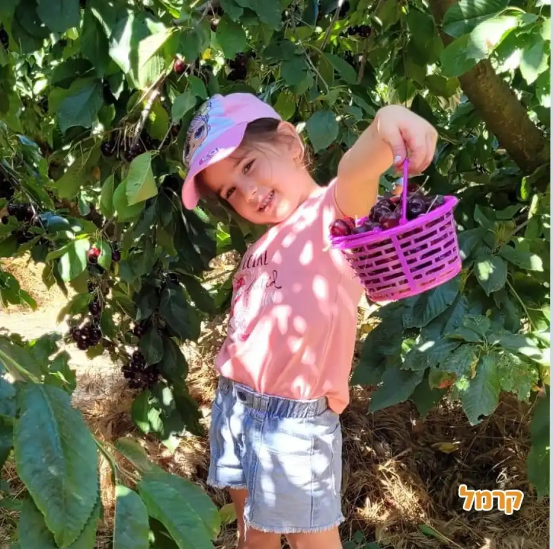 ילדה מציגה סלסלה מלאה בדובדבנים