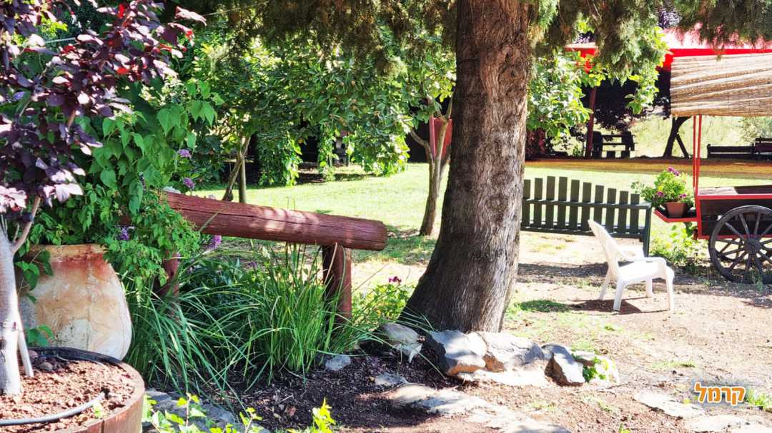 חוויית קמפינג בבוסתן בראשית