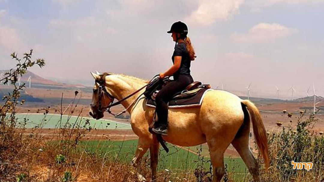 חוות הבוקרים