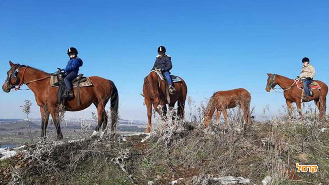 חוות הבוקרים