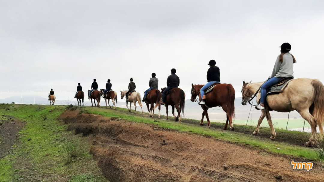 חוות הבוקרים