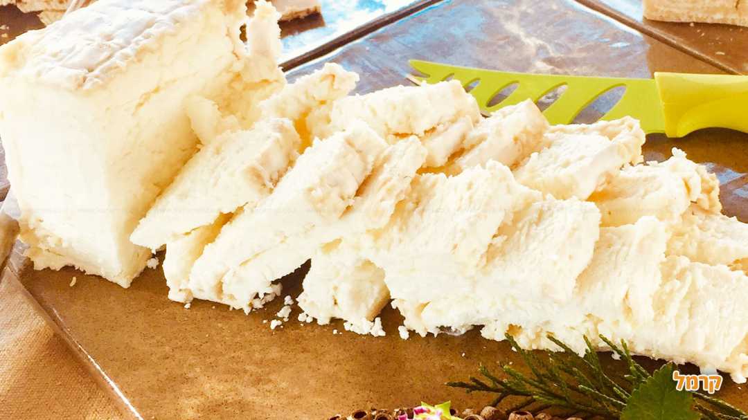 הגבינה שלנו