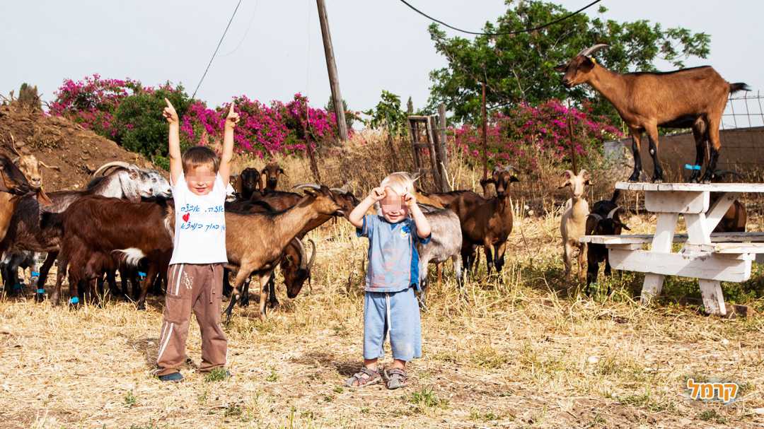 עם העיזים