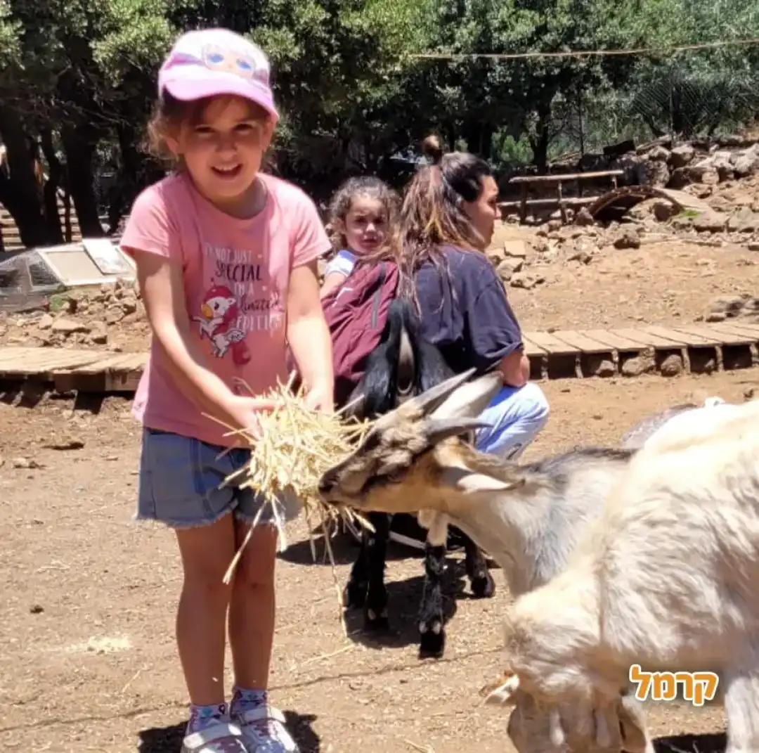 החווה ביער אודם